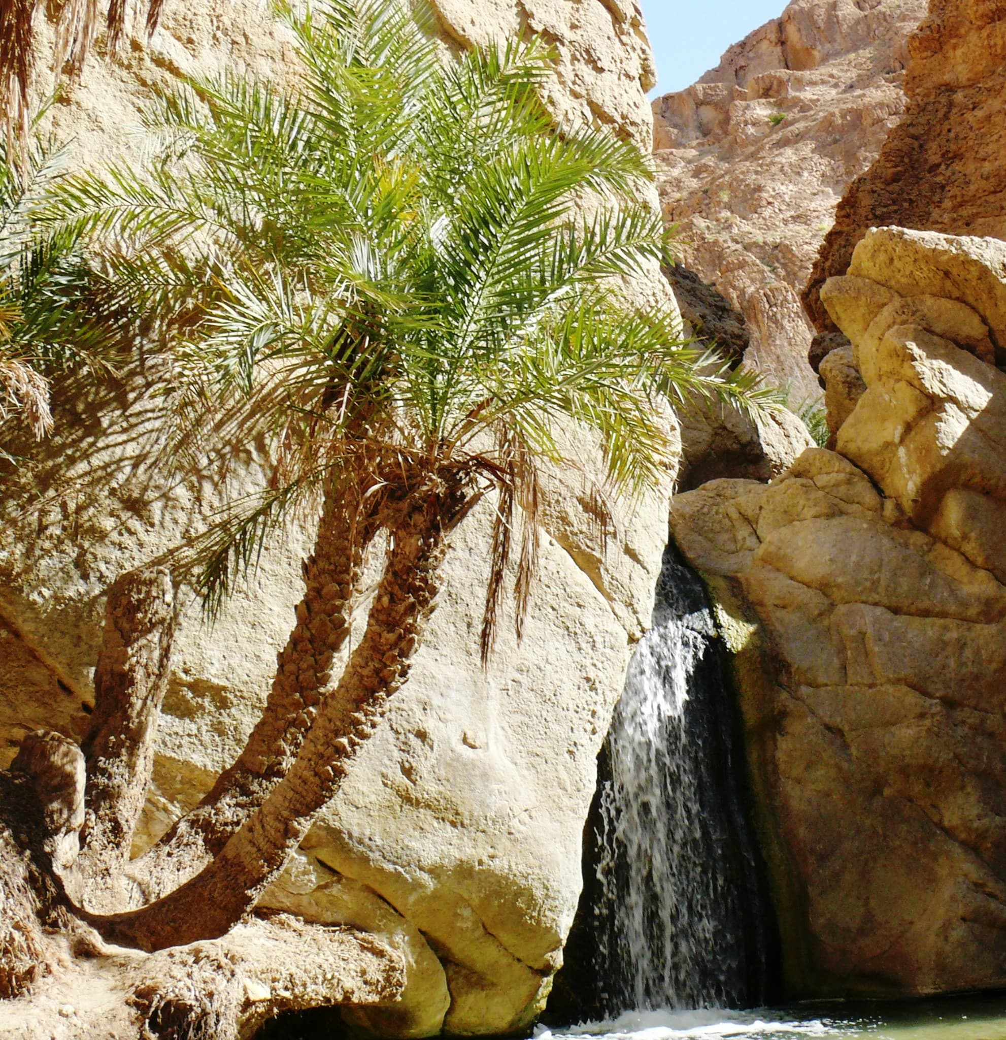 De Chebika à Mos Espa  - Day 2