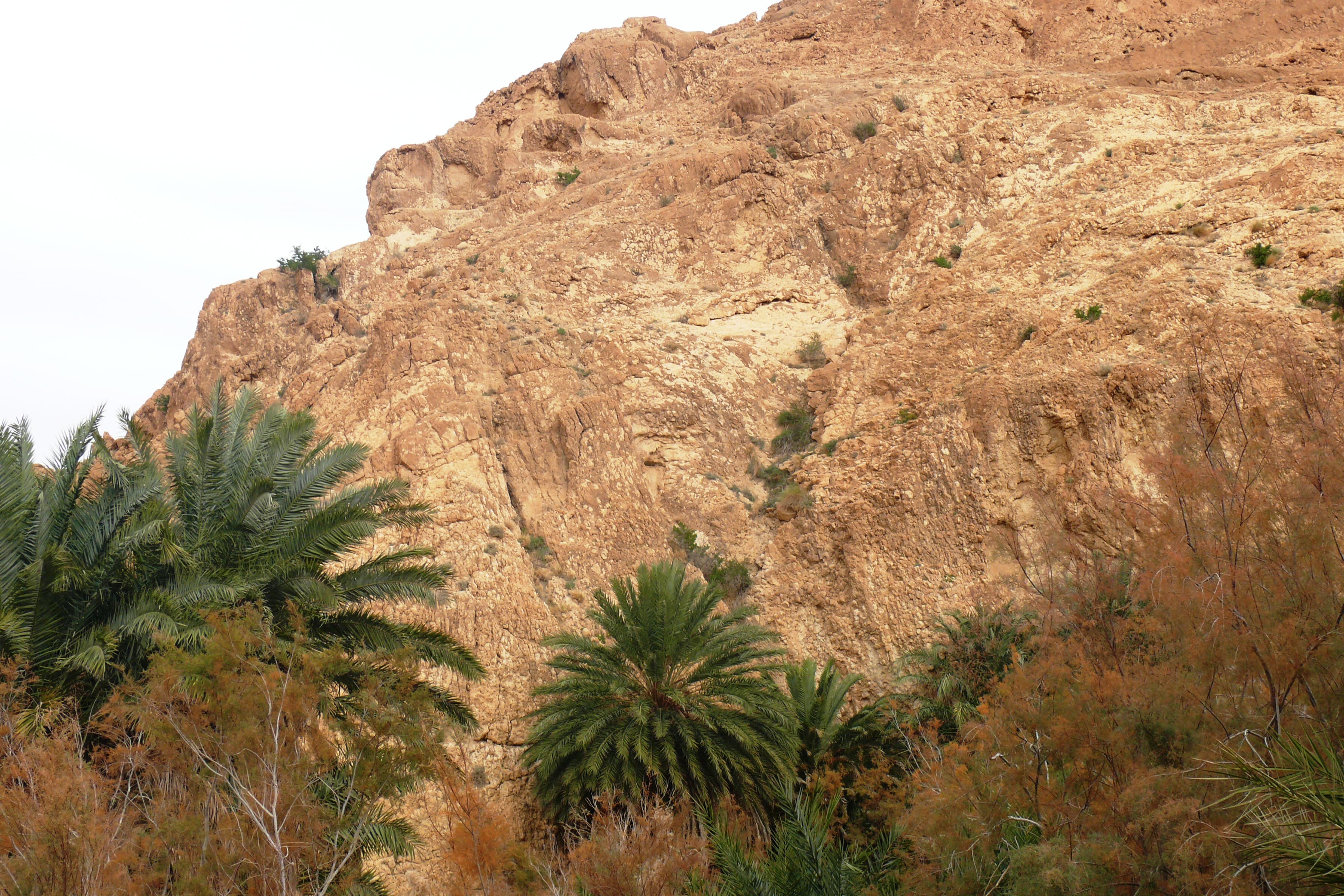 De Djerba à Tozeur via les oasis de montagne  - Day 1