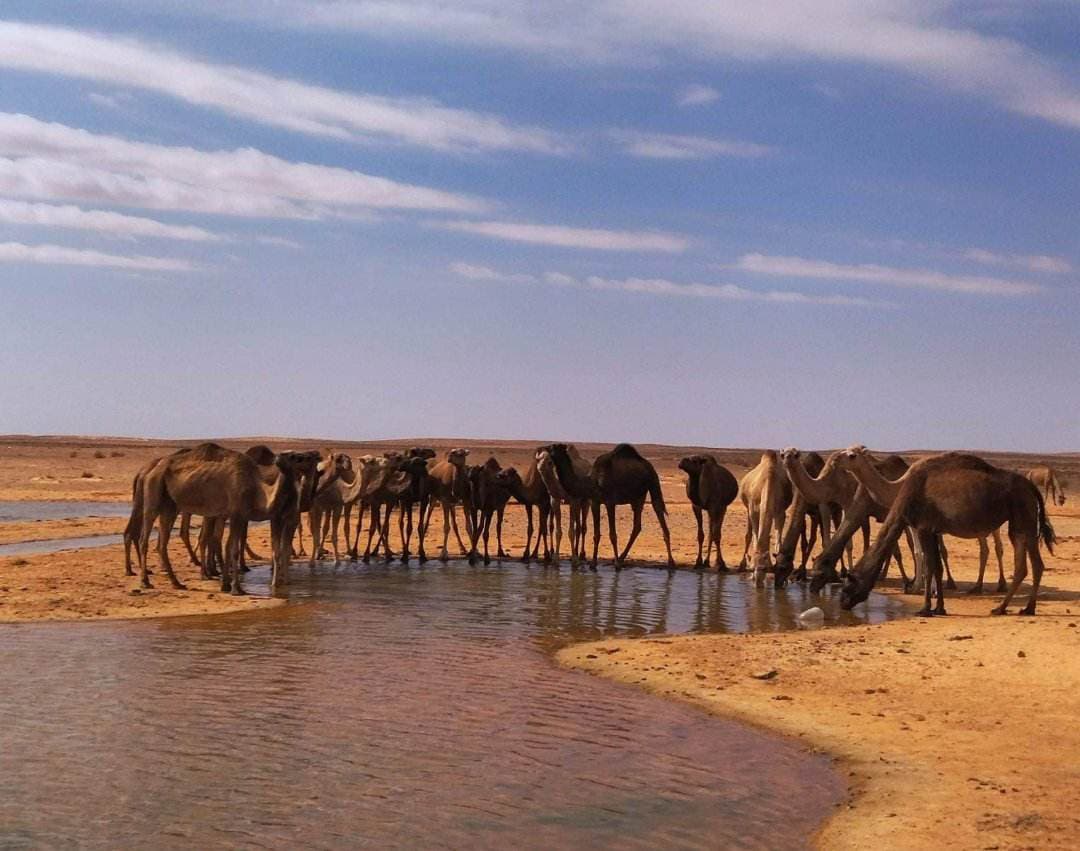 De Tataouine à Zmela  - Day 1