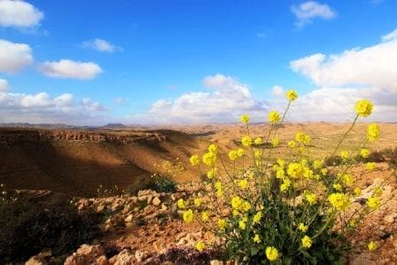 De Djerba à Chenini - Day 1
