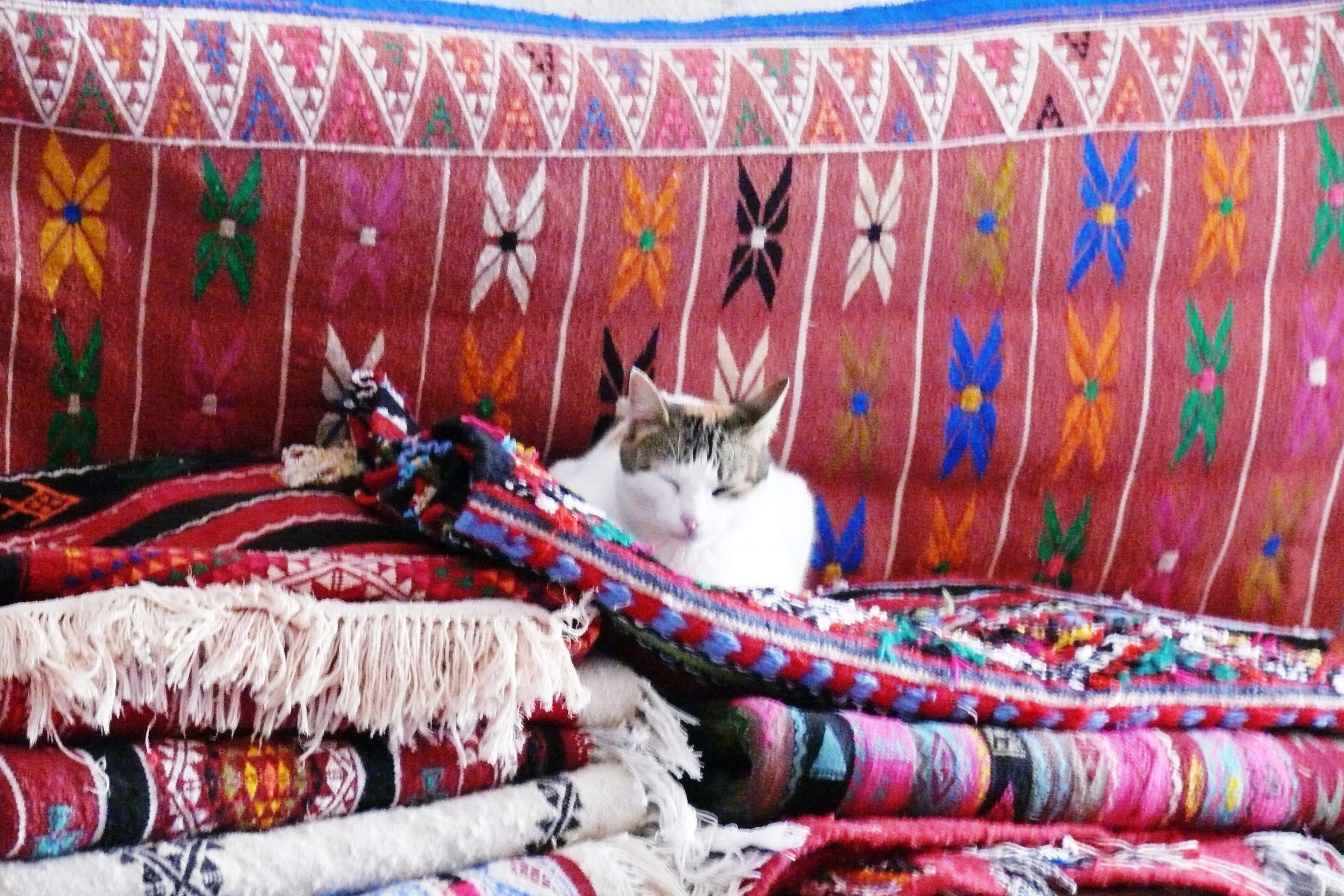 De Djerba à Tataouine via Matmata  - Day 1