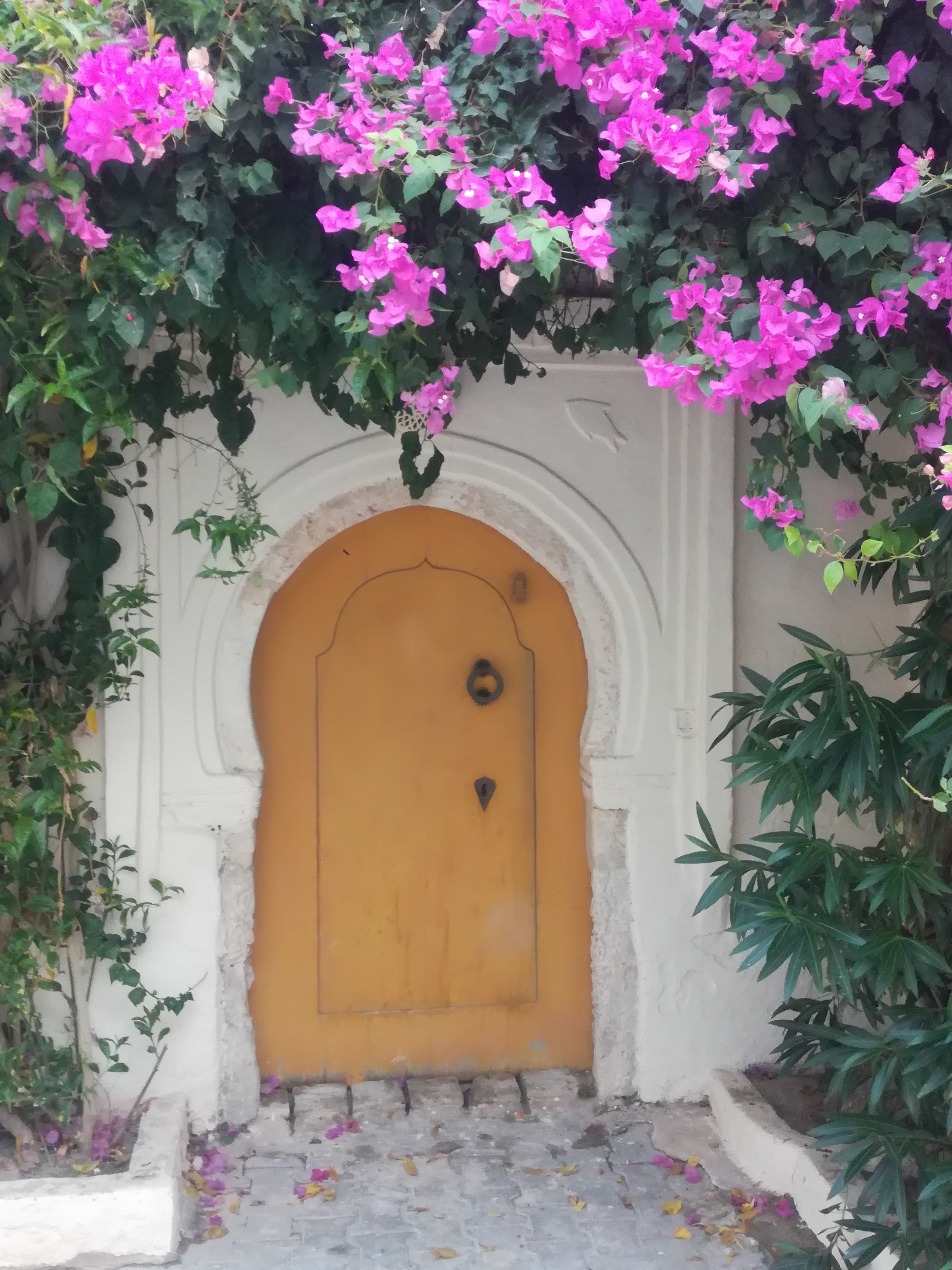 Djerba la douce  - Day 1